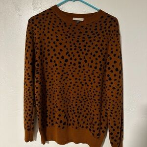 Stylish Brown and Black Sweater